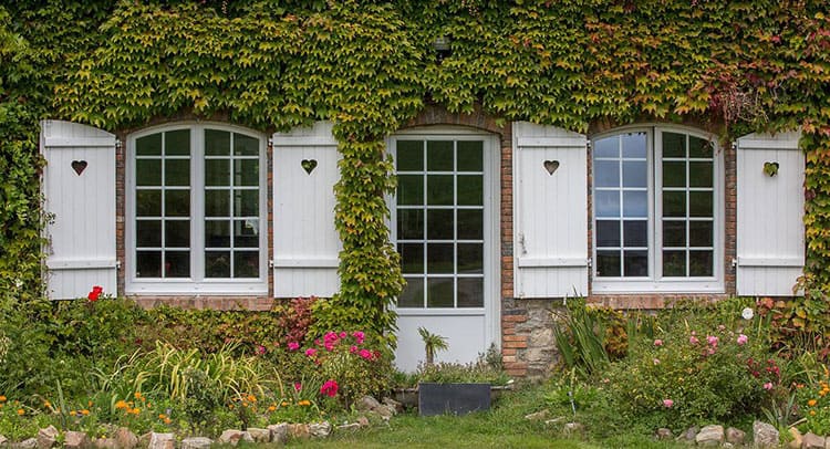 Fenêtres et portes d’entrée